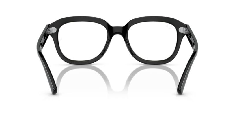 RB4398 Erik Transitions® Sunglasses