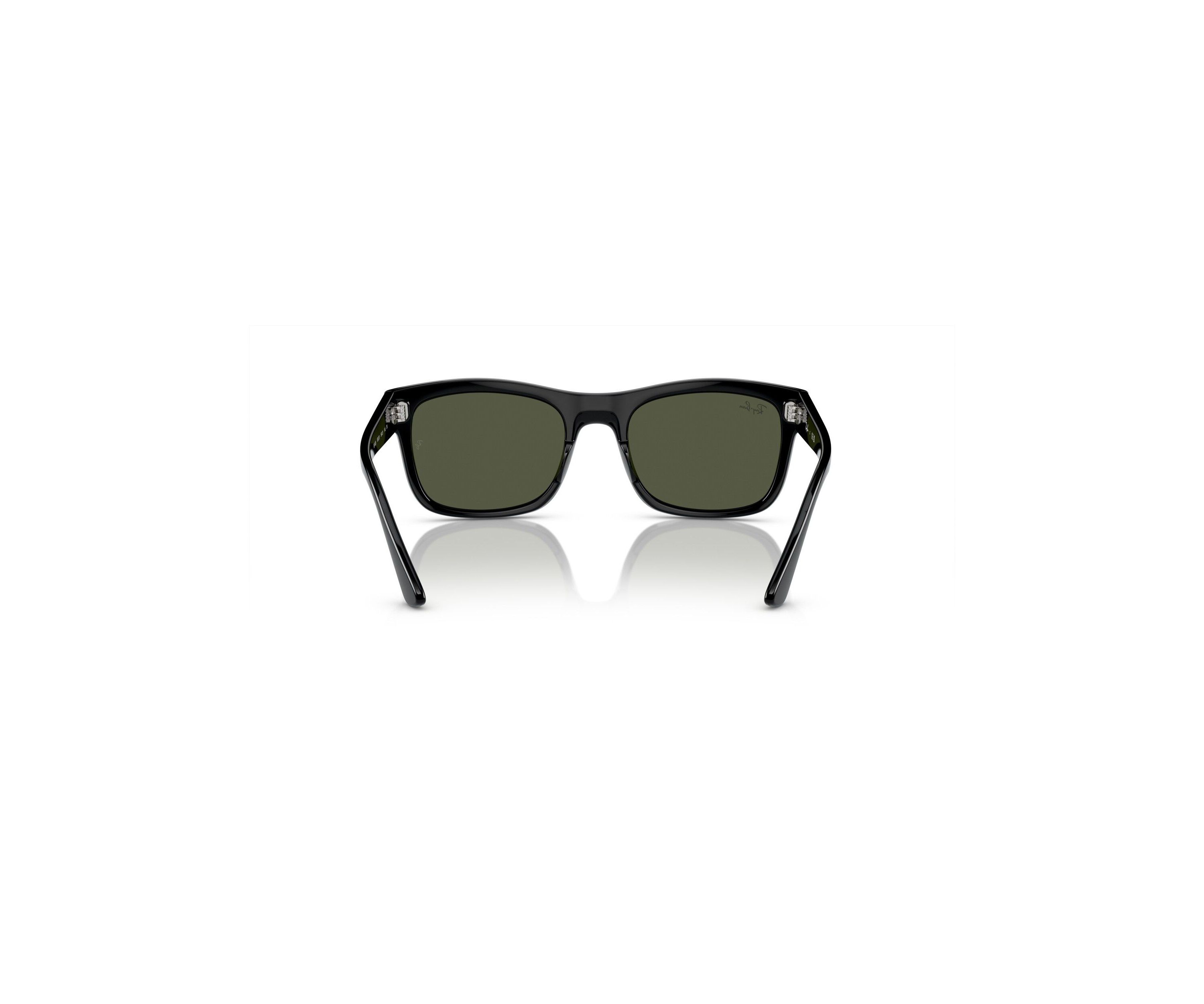 RB4428 Sunglasses