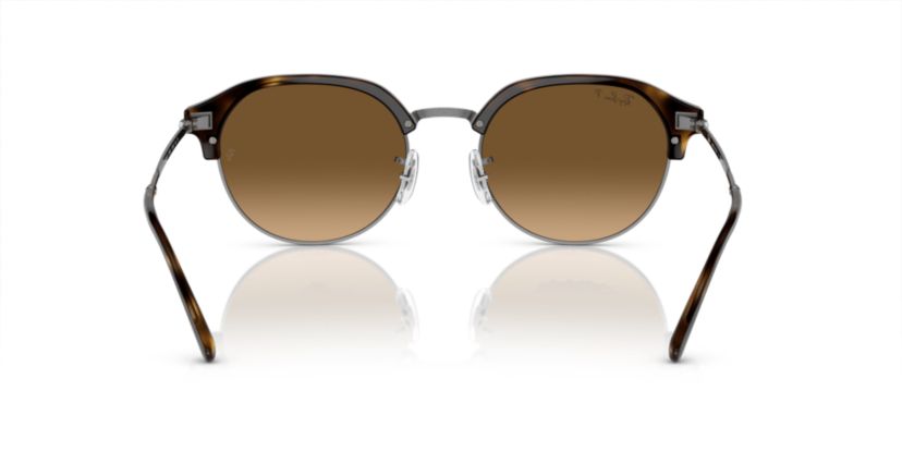 RB4429 Polarized Sunglasses