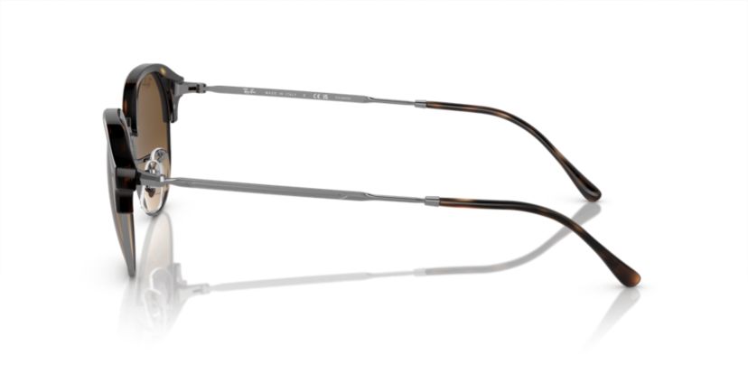 RB4429 Polarized Sunglasses
