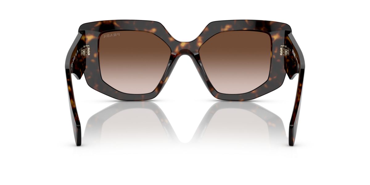 PR 14ZS  Sunglasses