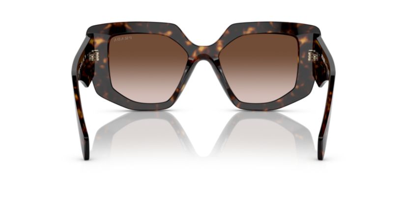 PR 14ZS  Sunglasses