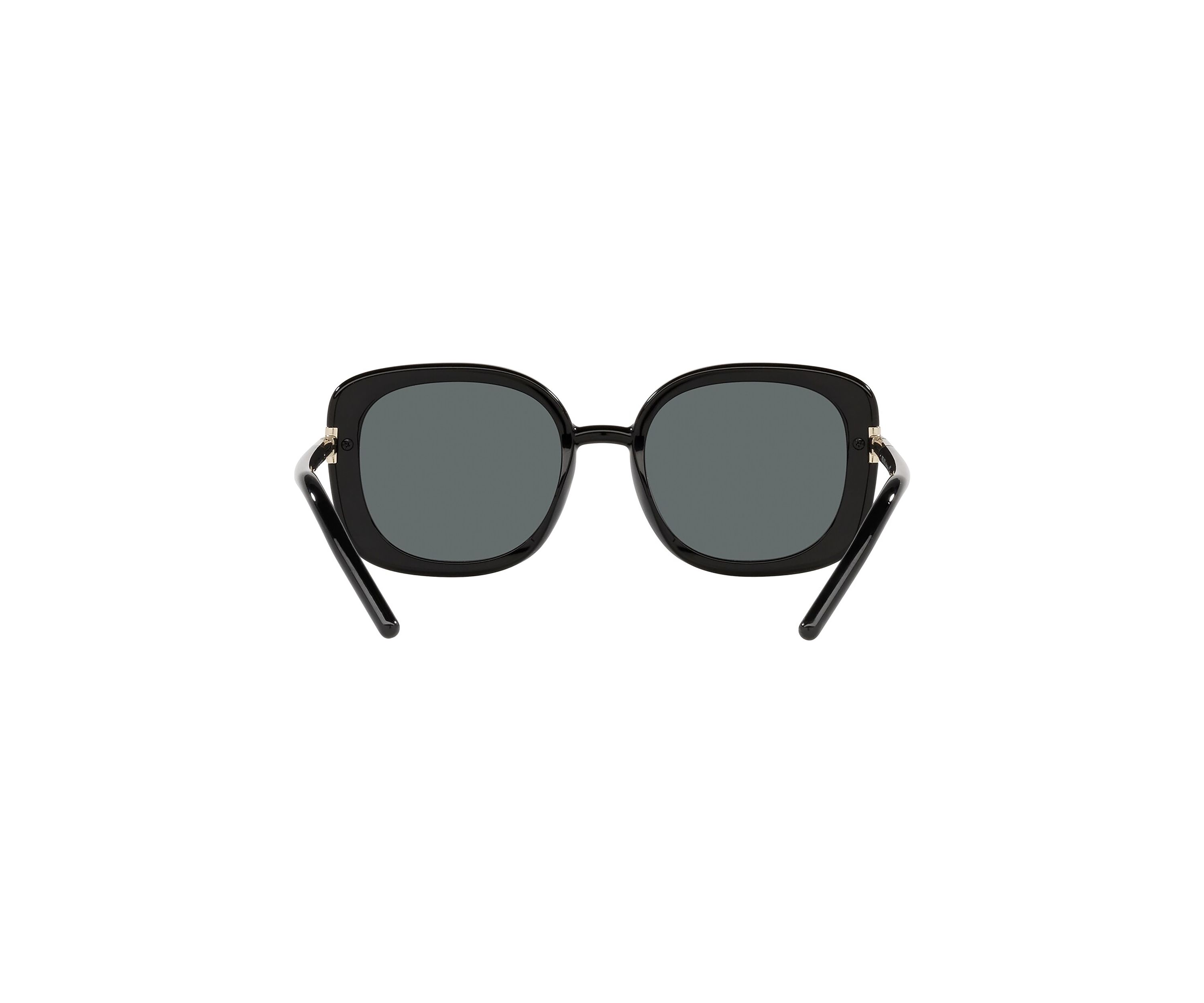 PR 04WS  Polarized Sunglasses