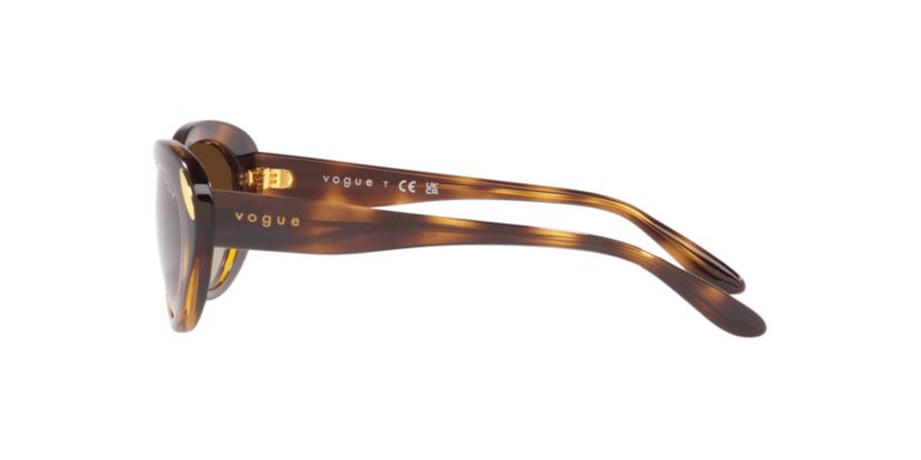 PR 17ZS Sunglasses