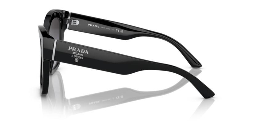 PR 17ZS Sunglasses