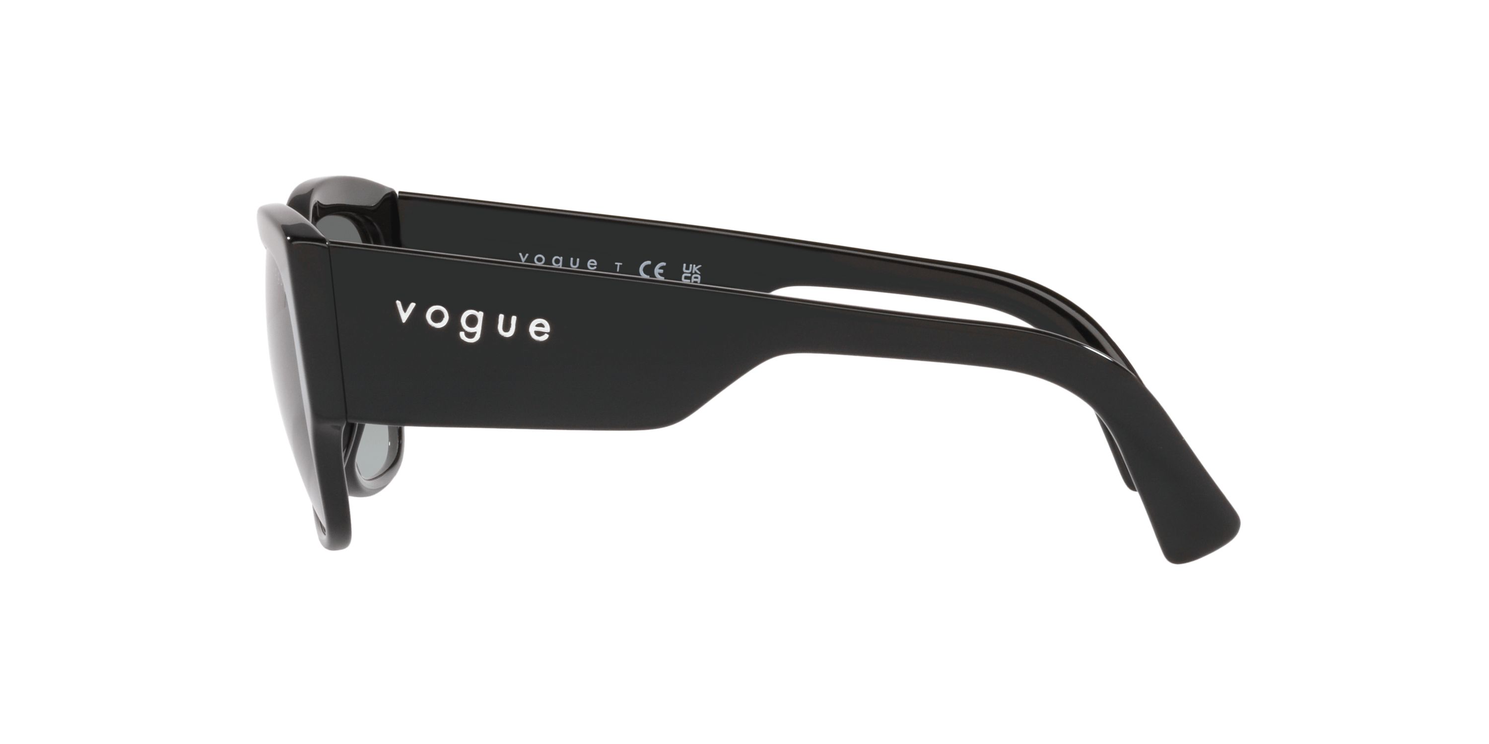 PS 01TS Lifestyle Sunglasses