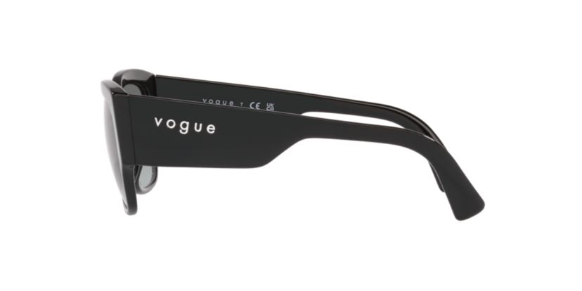 PS 01TS Lifestyle Sunglasses