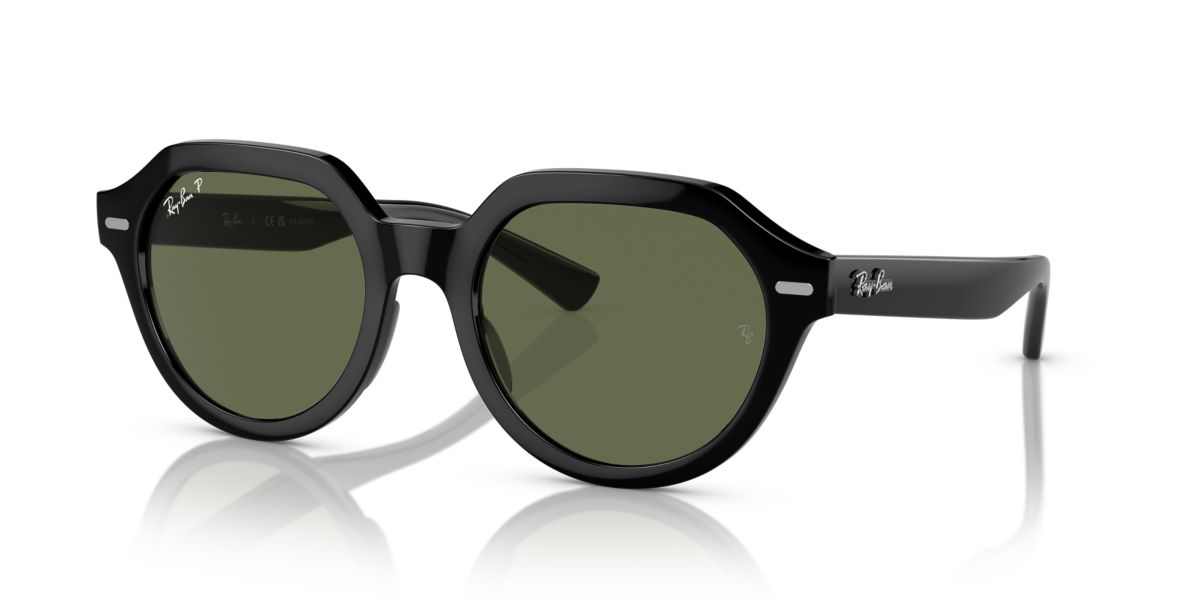RB4399 Gina Polarized Sunglasses