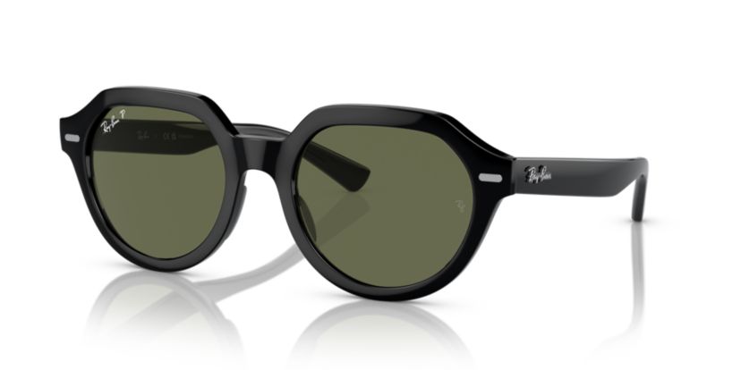 RB4399 Gina Polarized Sunglasses