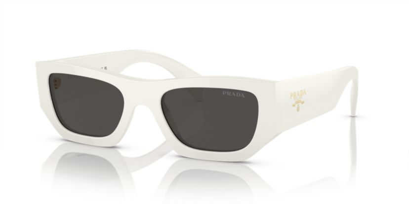 PR A01S Sunglasses