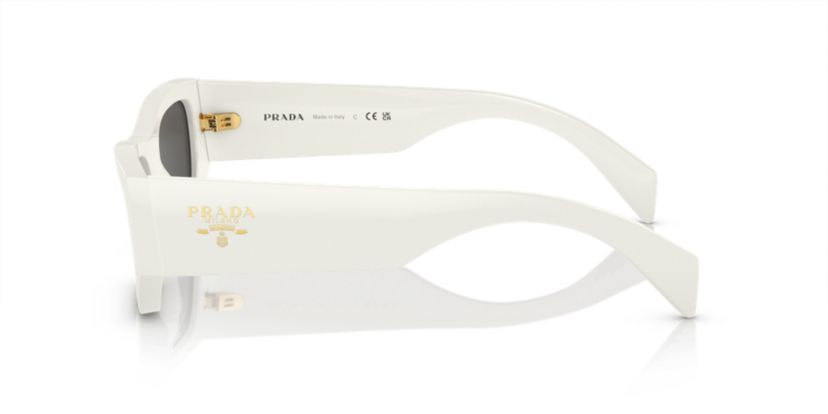 PR A01S Sunglasses