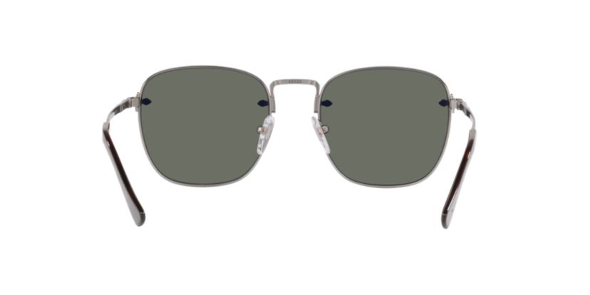 PO2490S  Polarized Sunglasses
