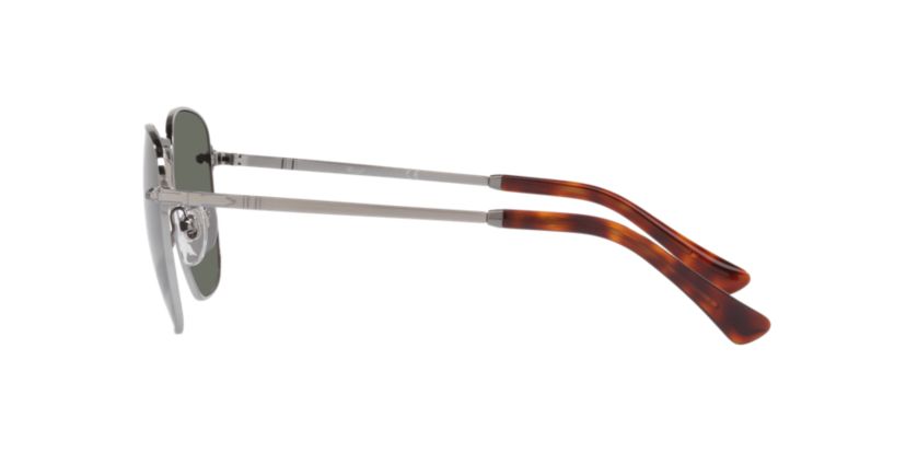 PO2490S  Polarized Sunglasses