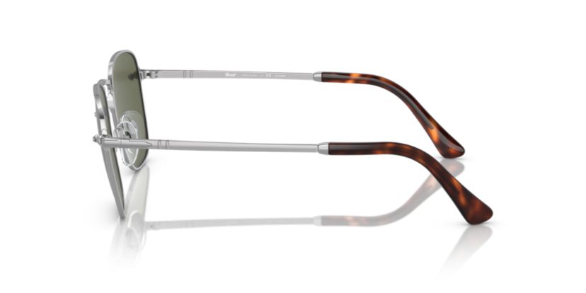 PO2490S  Polarized Sunglasses