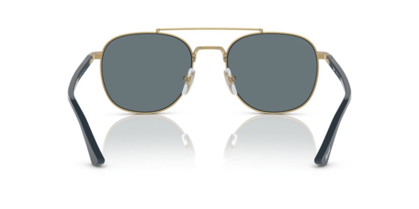 PO1006S Polarized Sunglasses