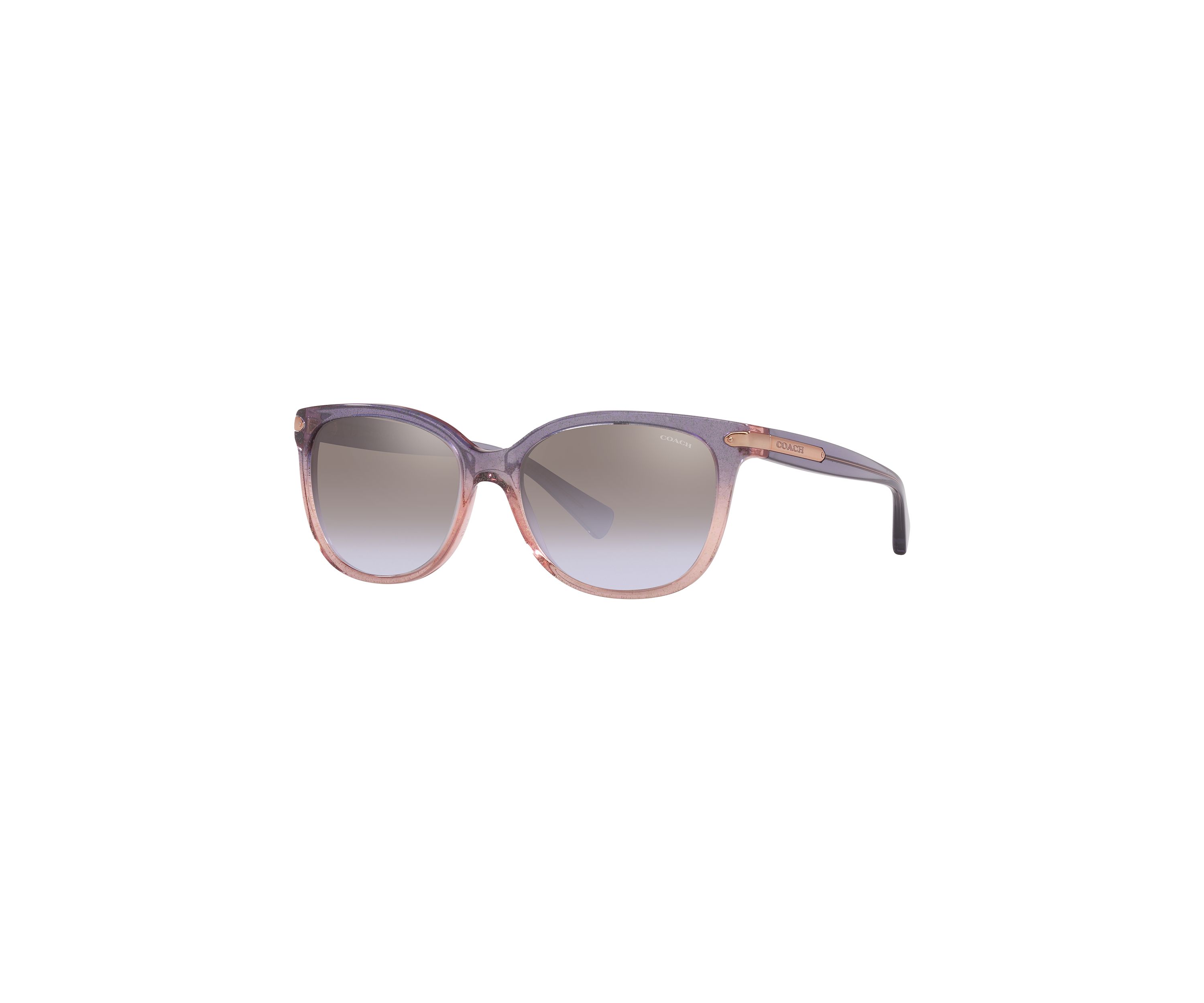 HC8132 L109 Sunglasses