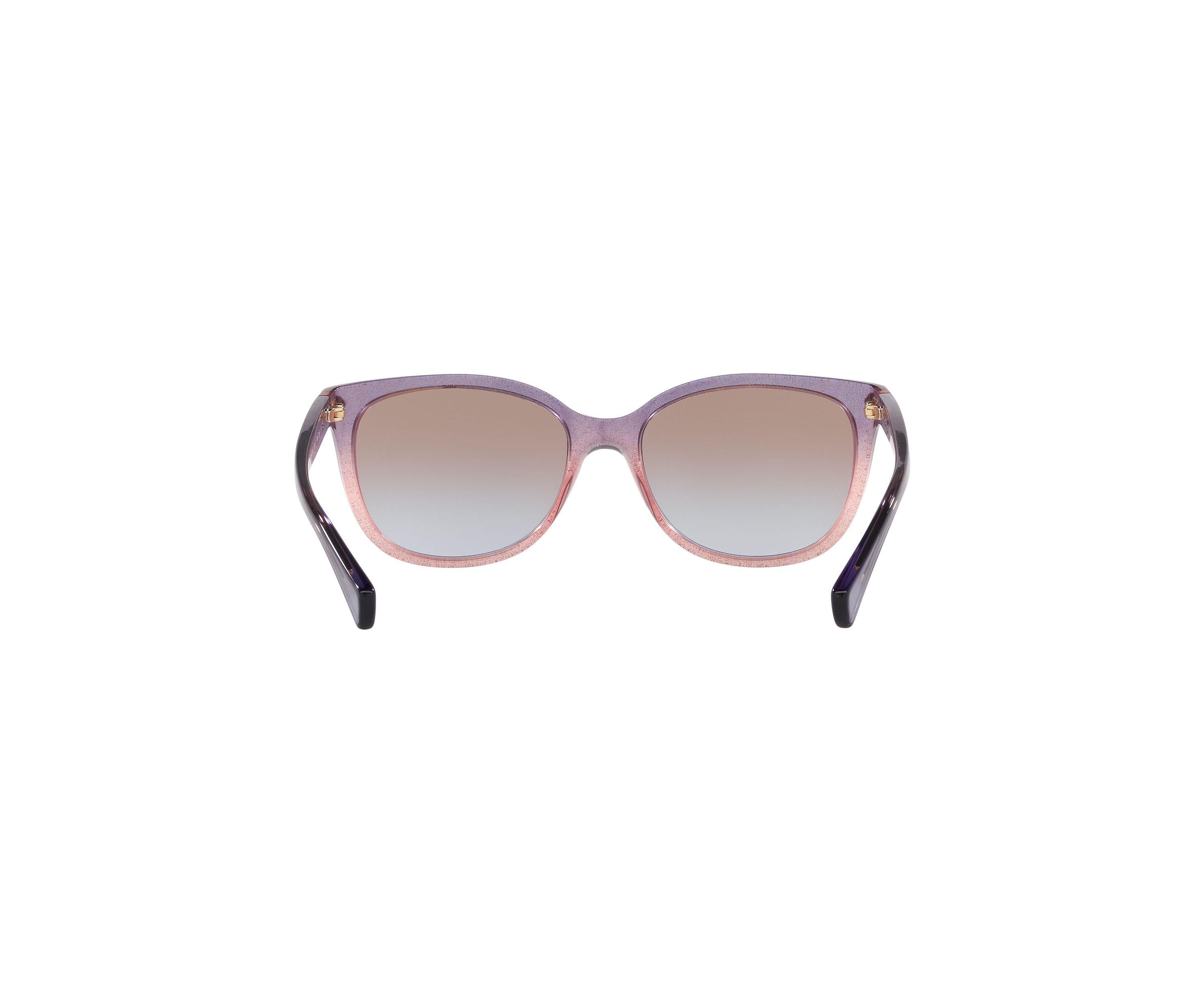 HC8132 L109 Sunglasses