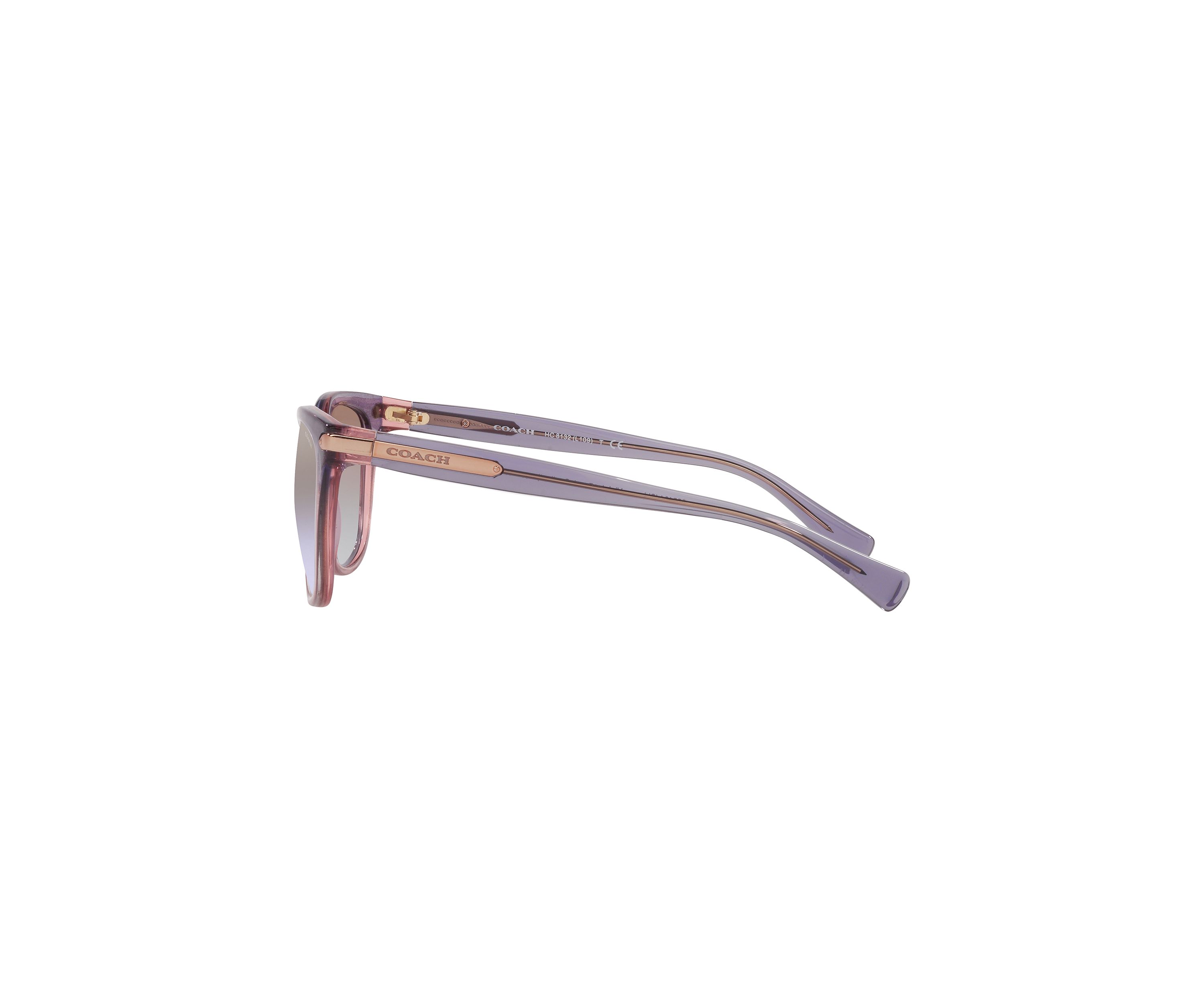 HC8132 L109 Sunglasses