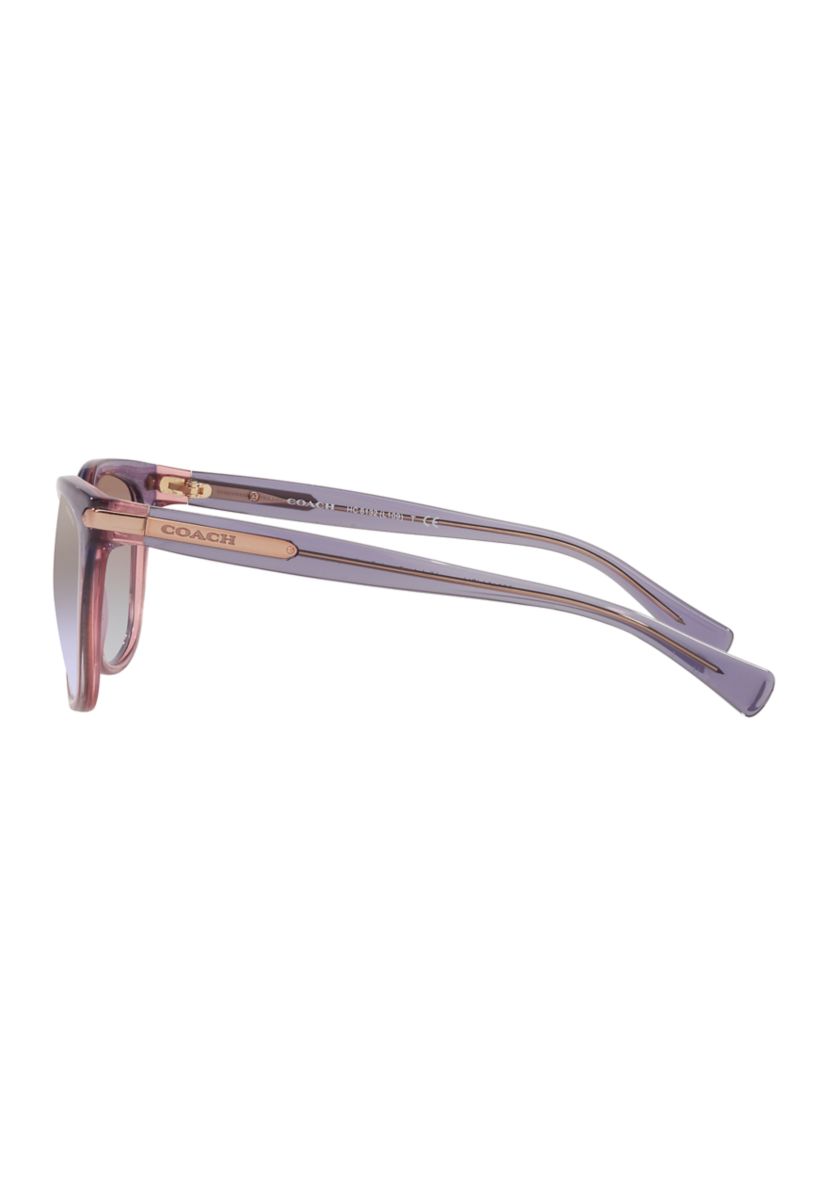 HC8132 L109 Sunglasses
