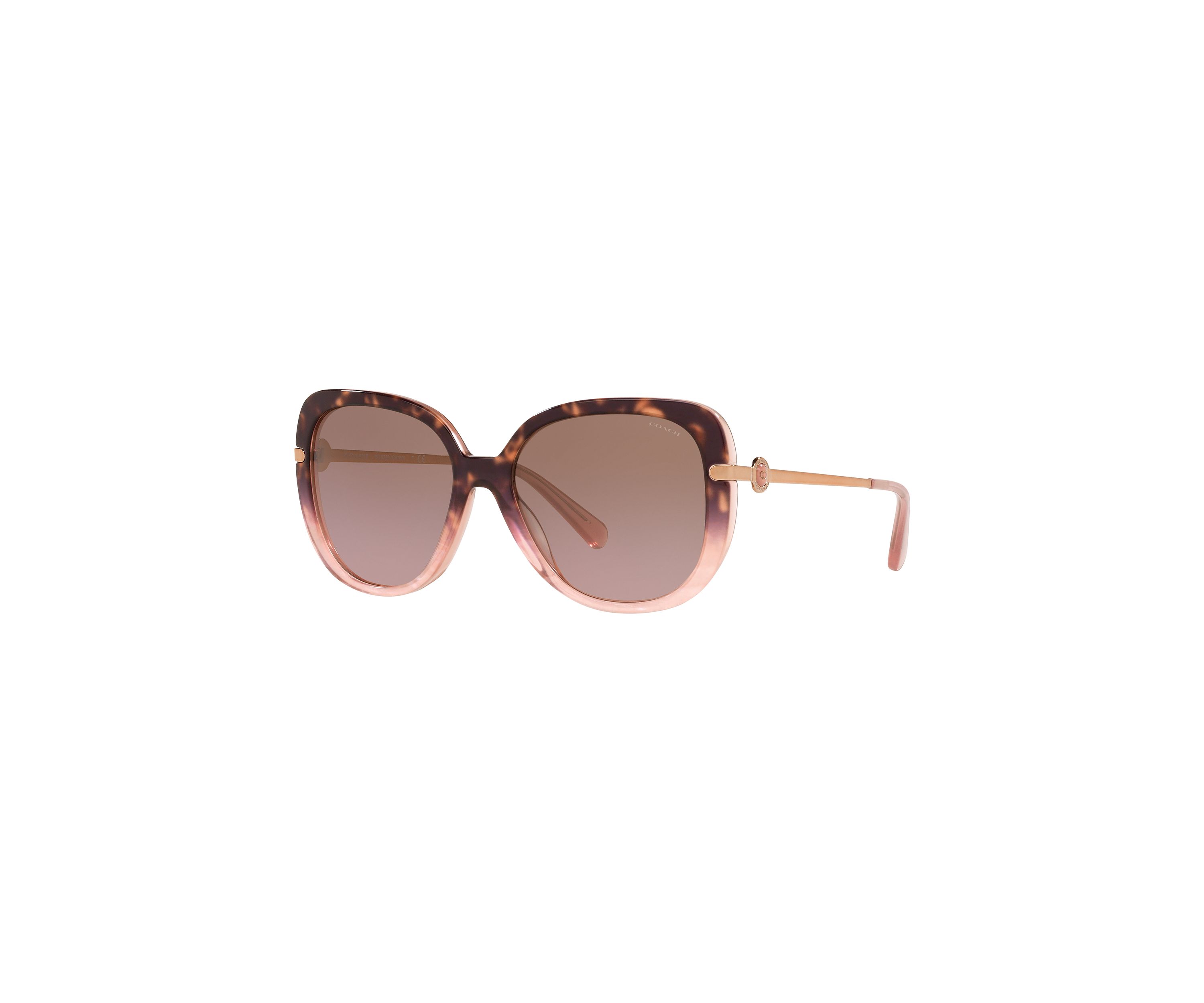 HC8320 C6180 Sunglasses