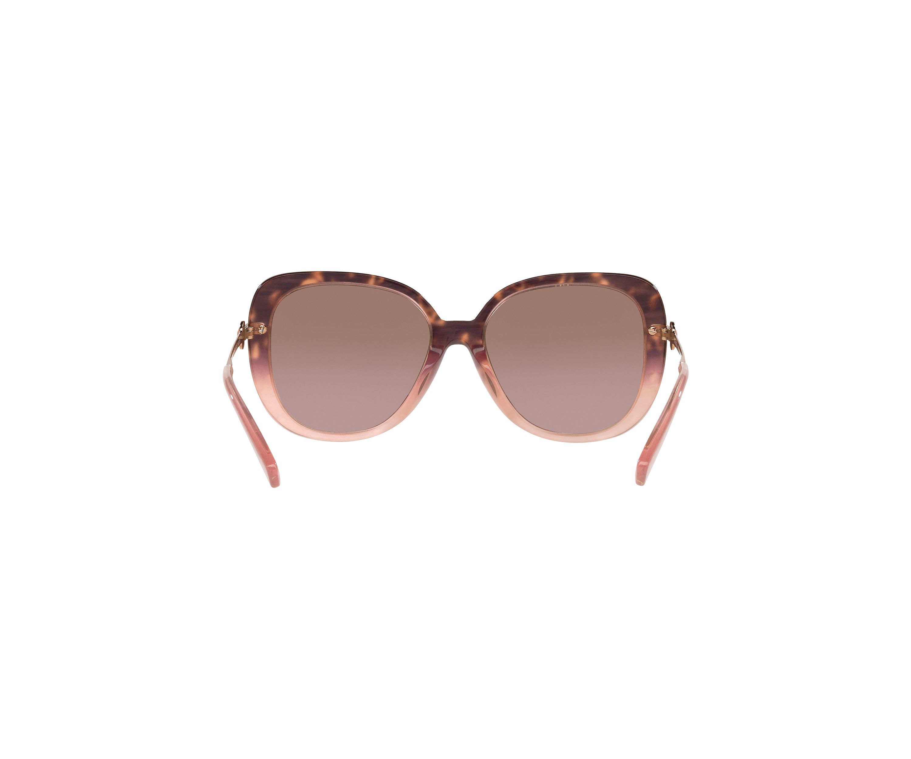 HC8320 C6180 Sunglasses