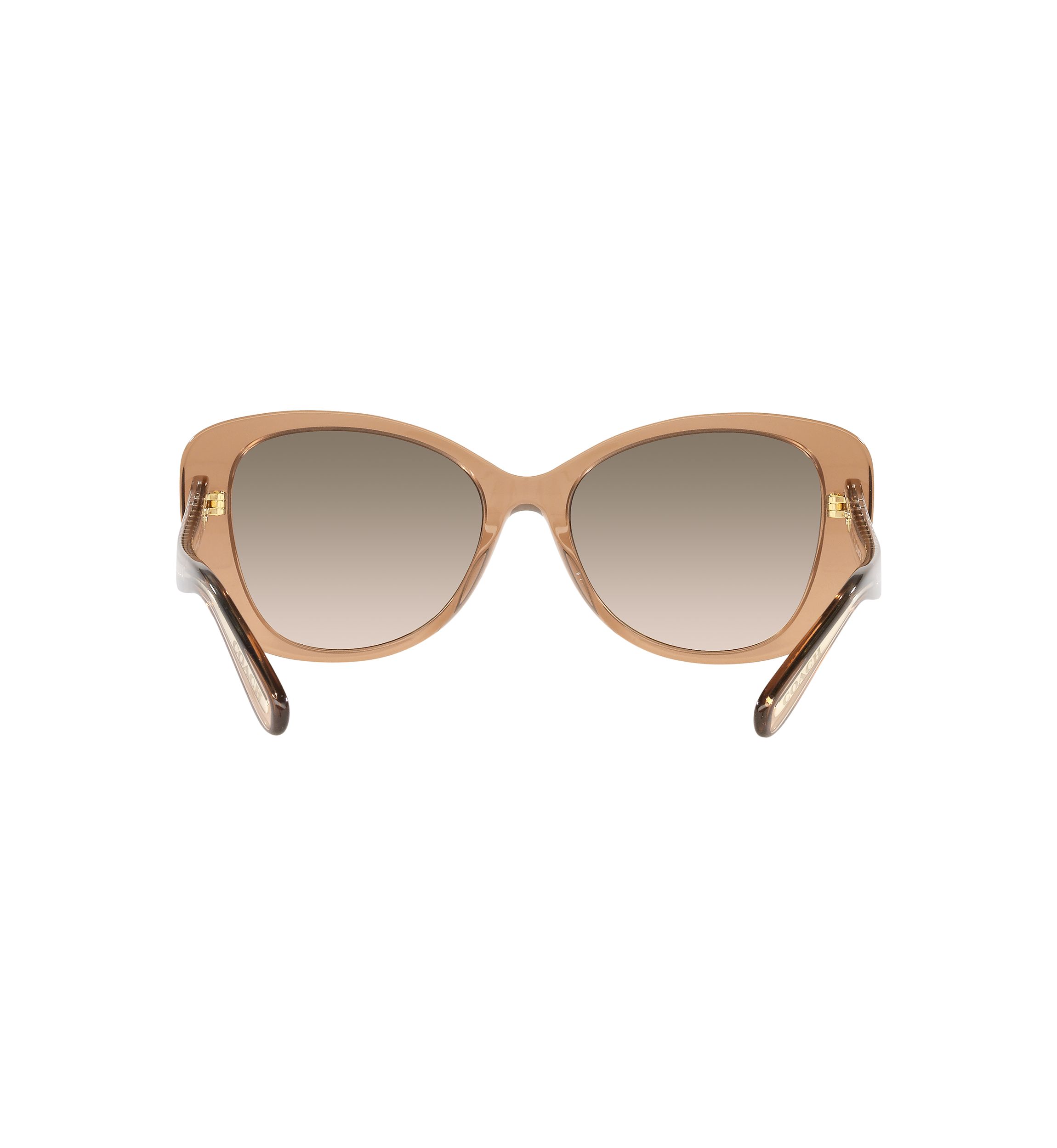 HC8322 C6183 Sunglasses
