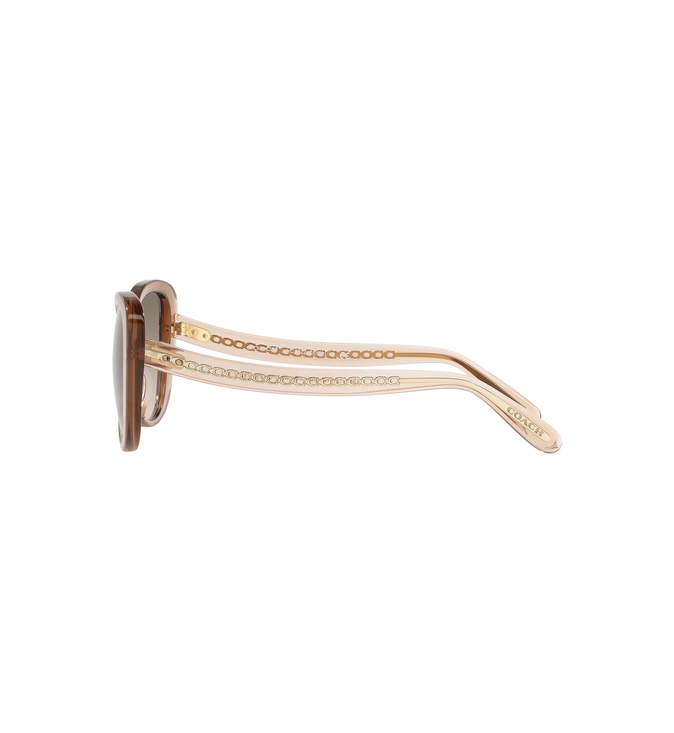 HC8322 C6183 Sunglasses