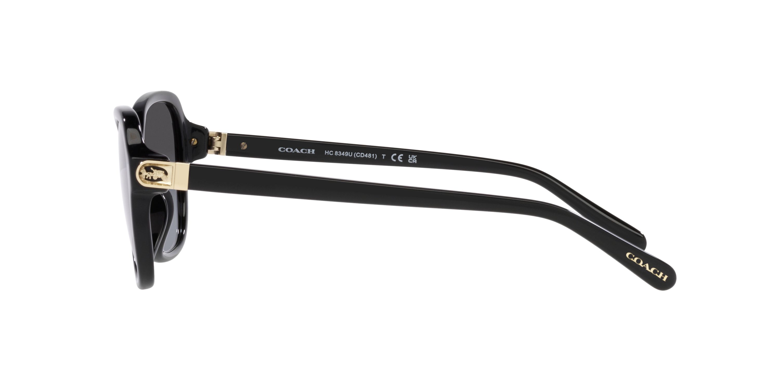 HC8349U CD481 Sunglasses