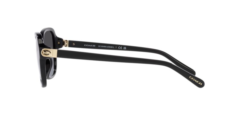 HC8349U CD481 Sunglasses
