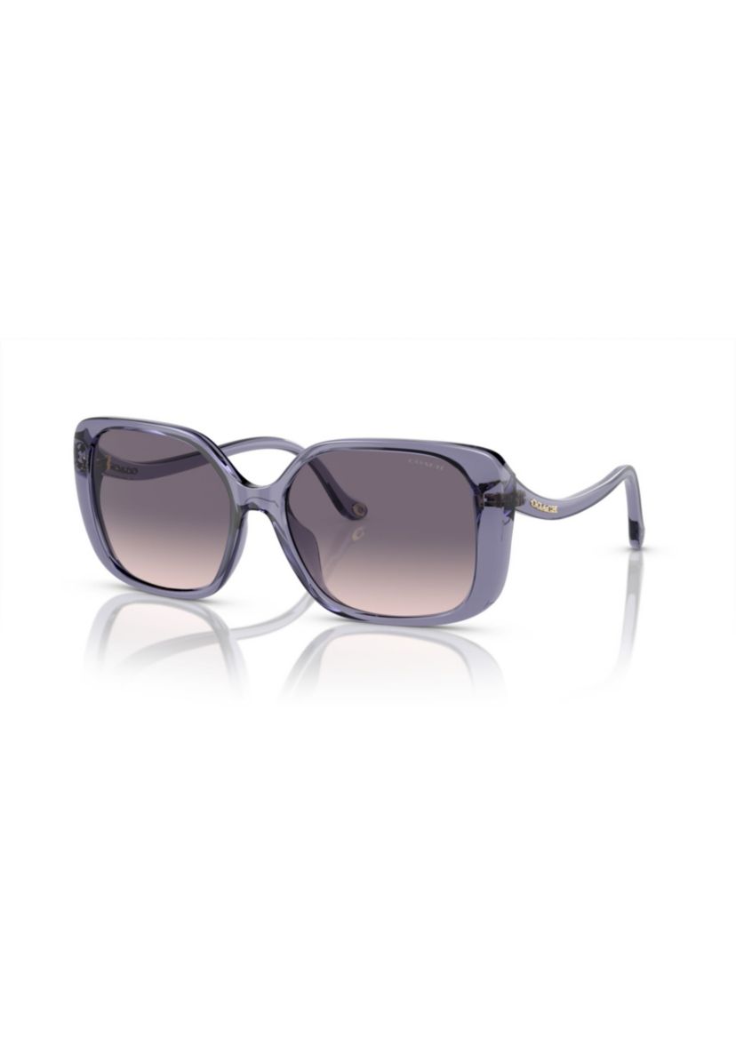 COACH HC8376U CL929 Sunglasses | Belk display picture 2