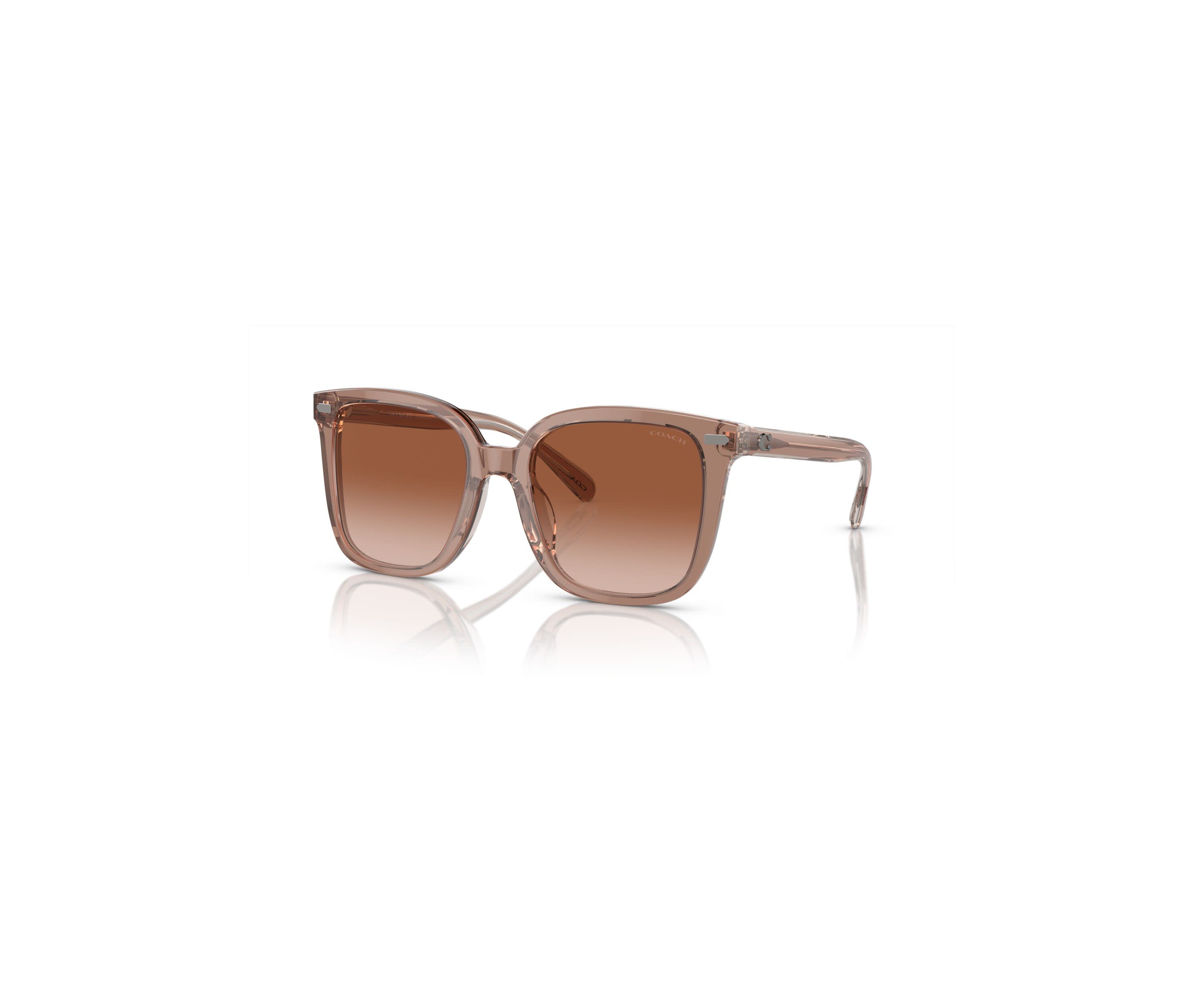 HC8381U CL918 Sunglasses