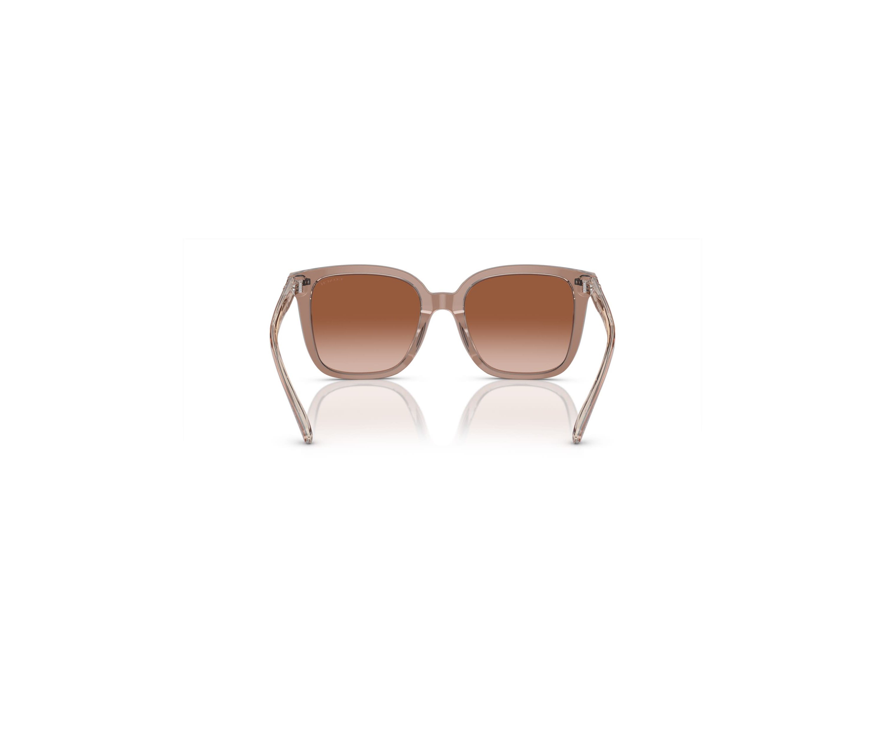 HC8381U CL918 Sunglasses