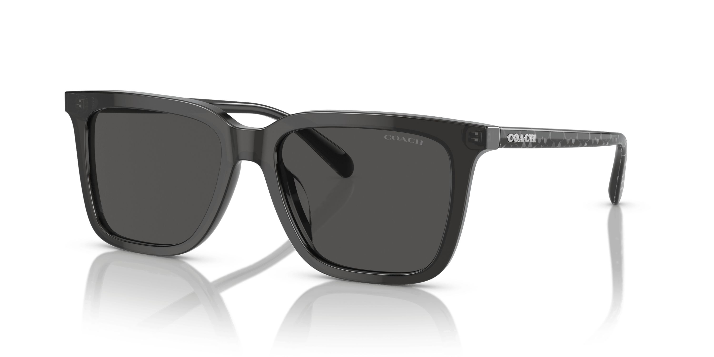 HC8385U CL910 Sunglasses