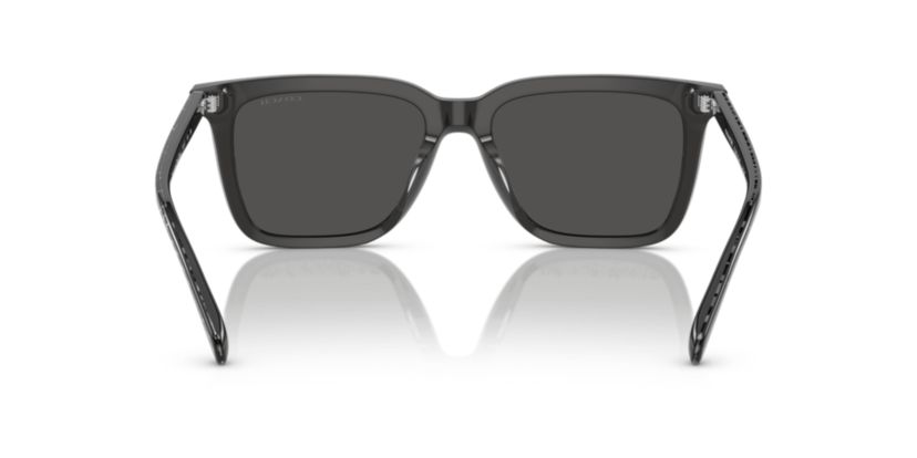 HC8385U CL910 Sunglasses