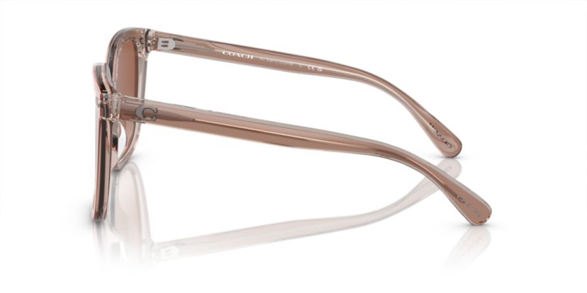 HC8381U CL918 Sunglasses