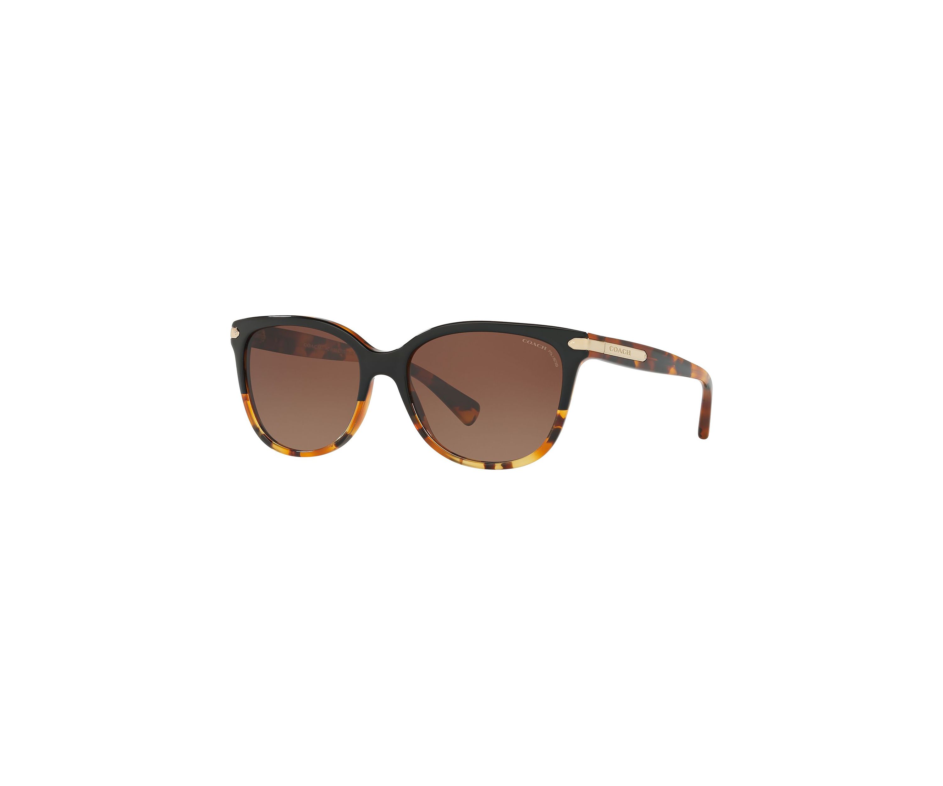 HC8132 L109 Polarized Sunglasses