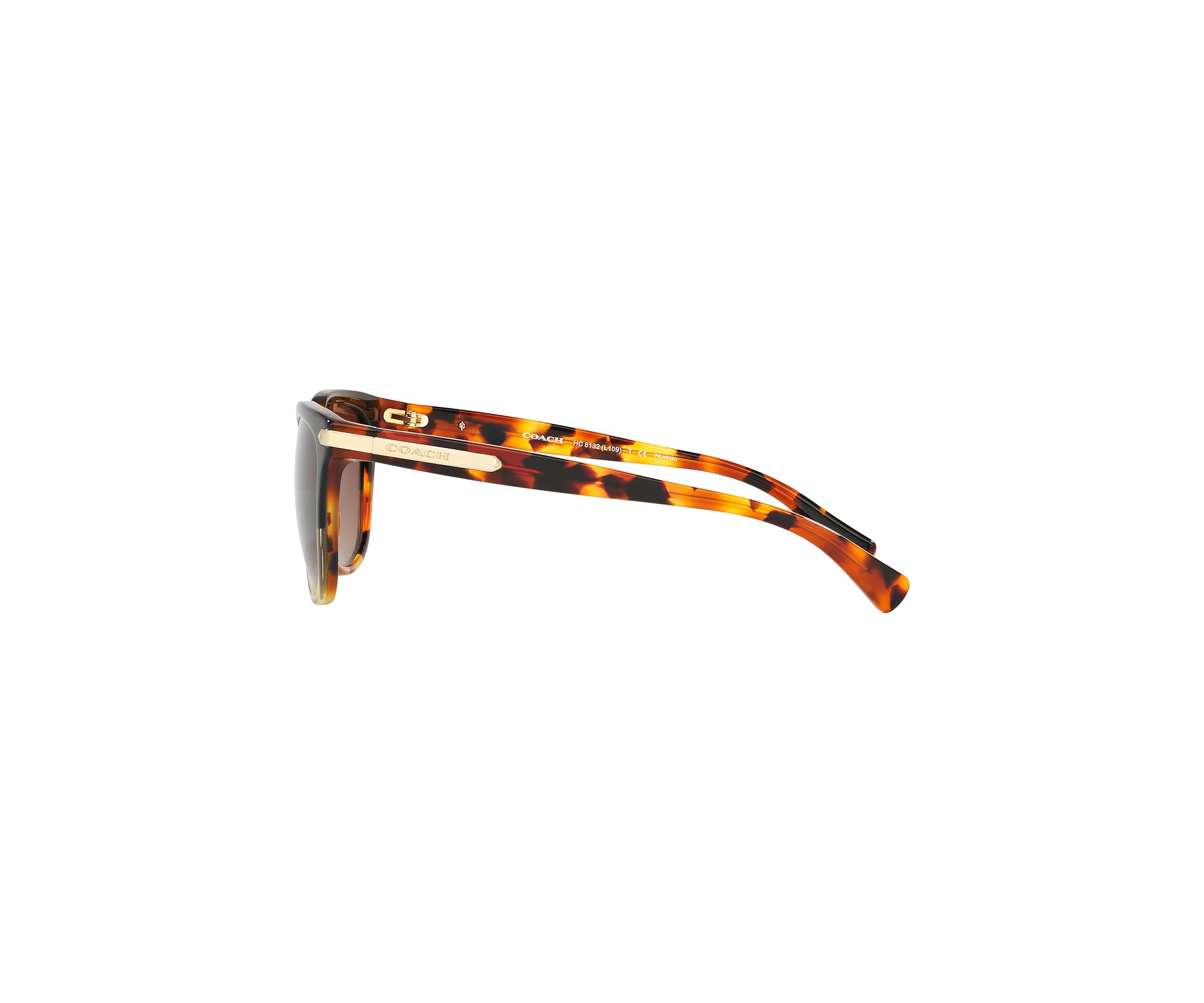 HC8132 L109 Polarized Sunglasses