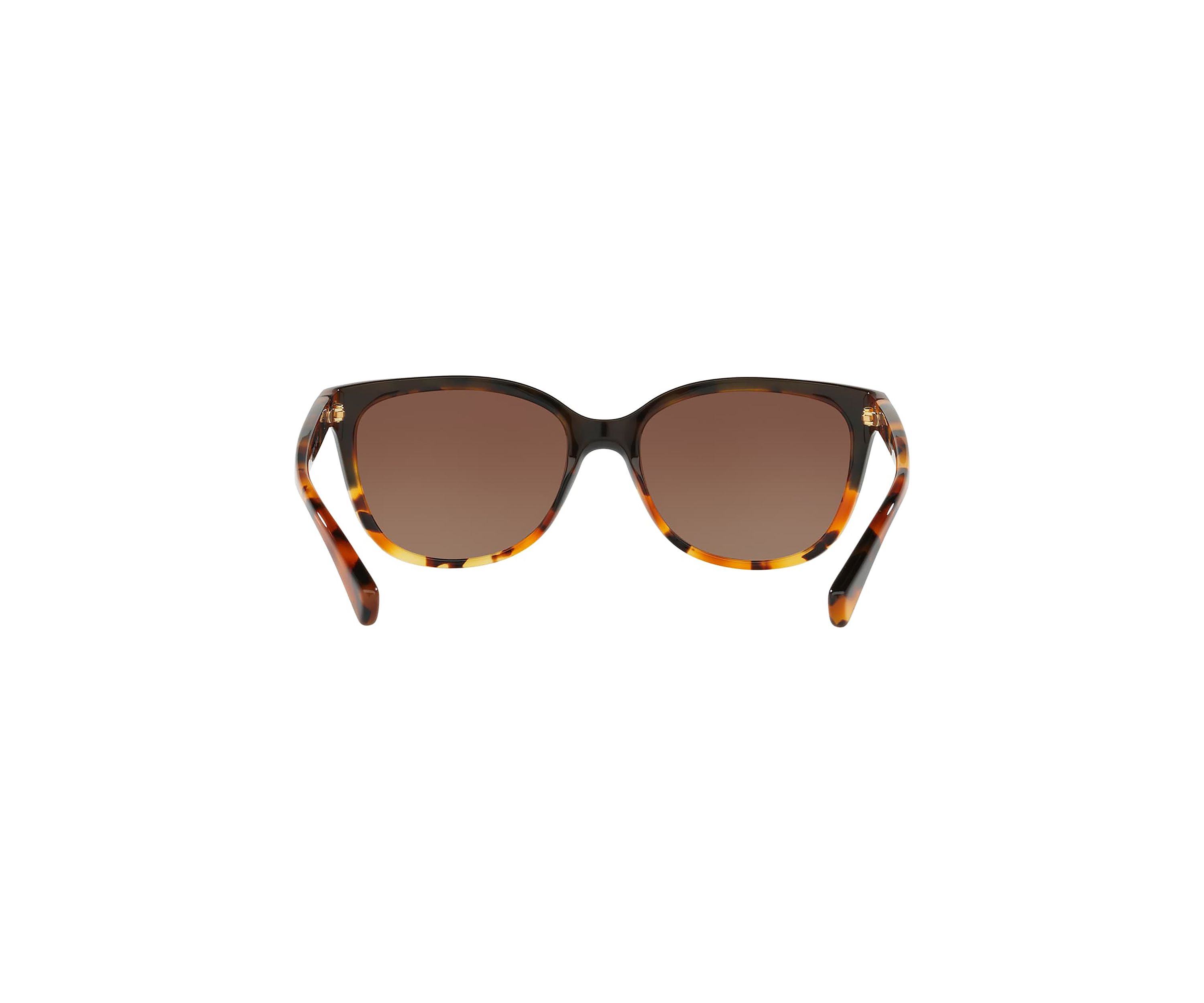 HC8132 L109 Polarized Sunglasses