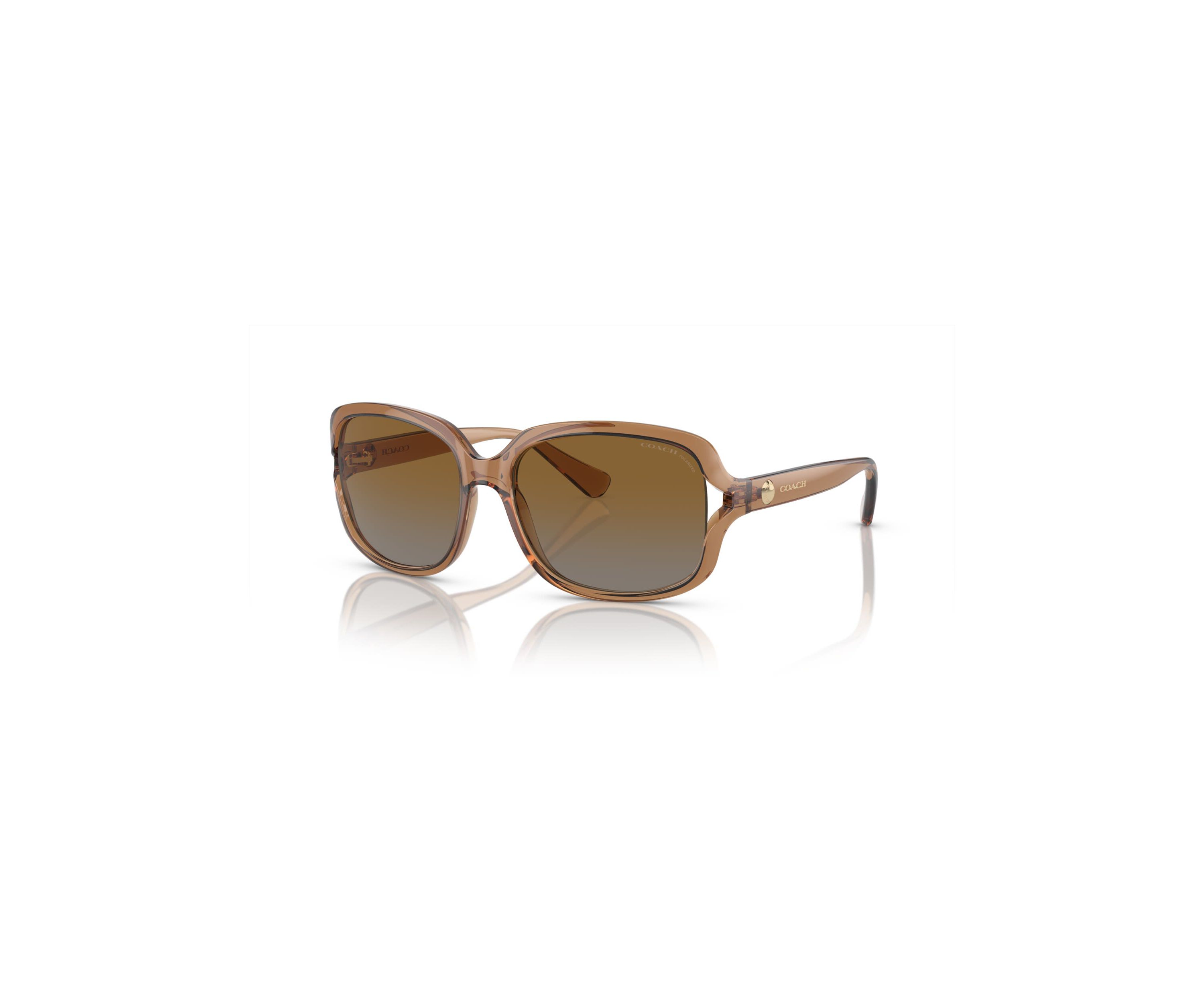 HC8169 L149 Polarized Sunglasses