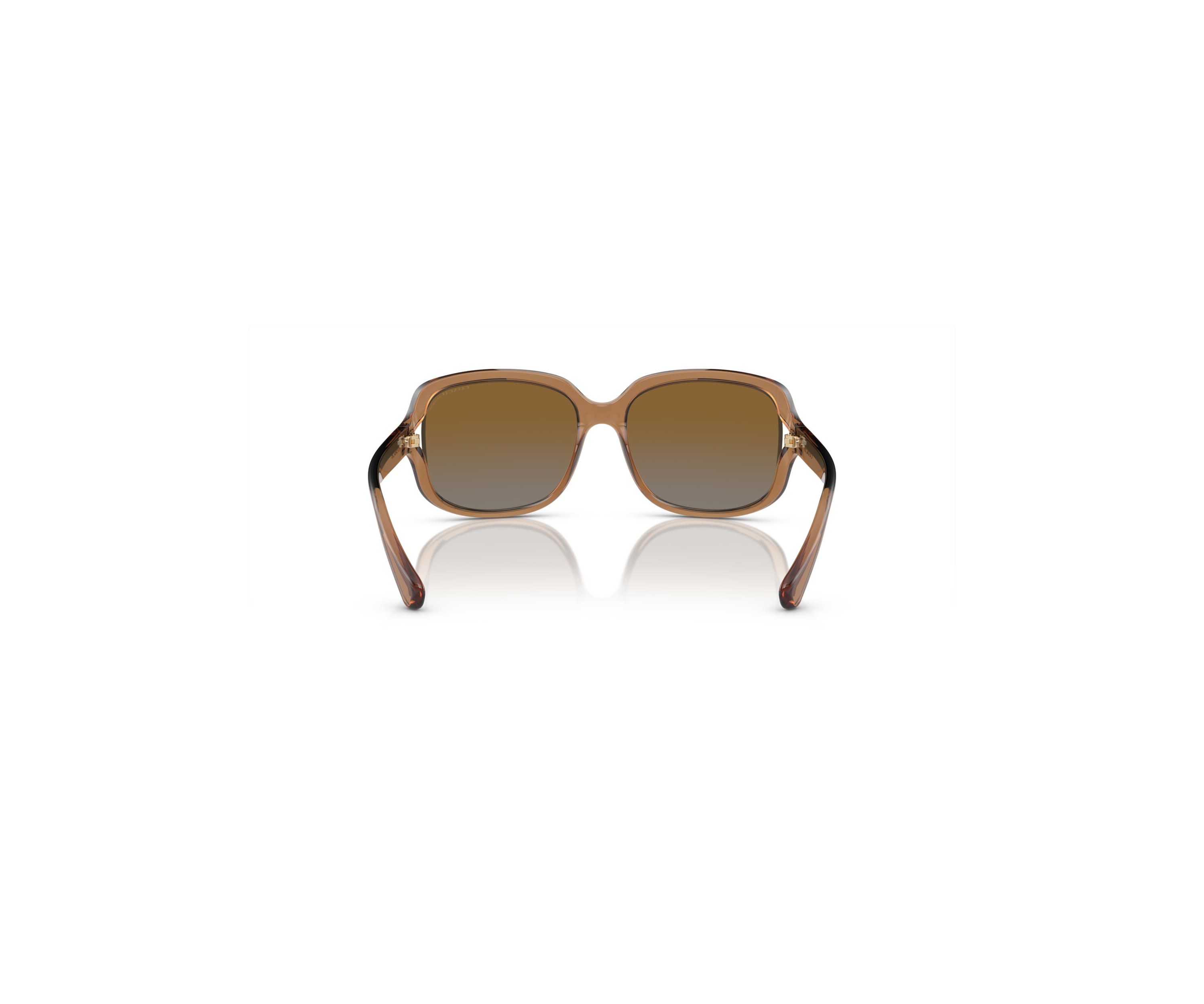 HC8169 L149 Polarized Sunglasses