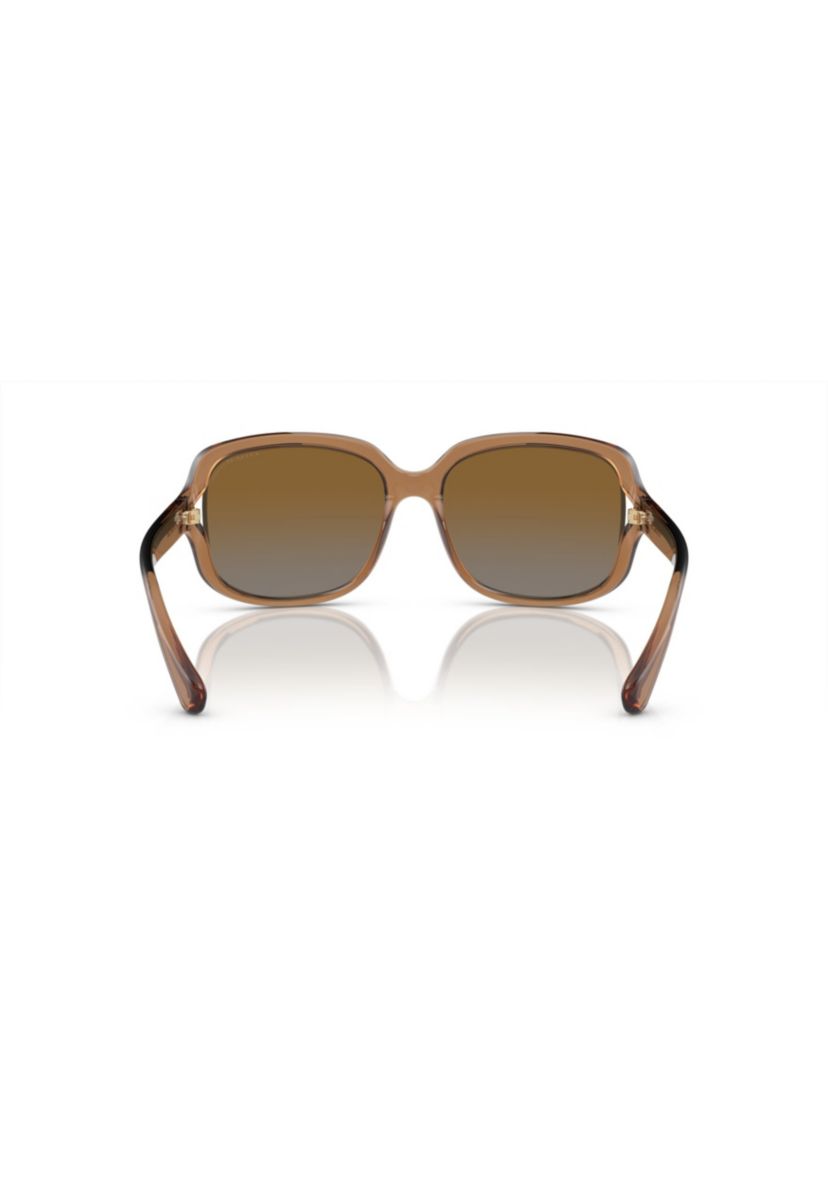 HC8169 L149 Polarized Sunglasses