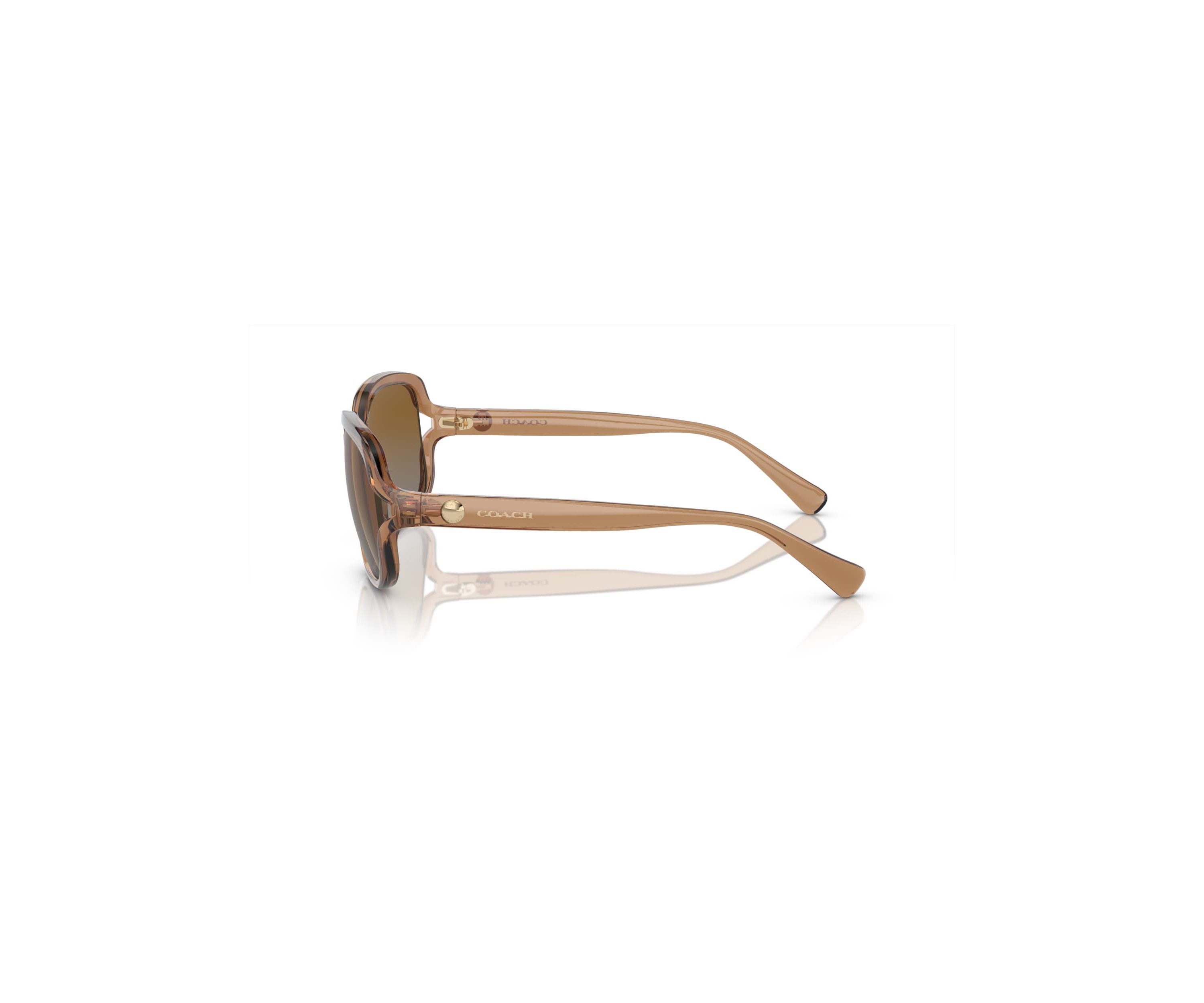 HC8169 L149 Polarized Sunglasses