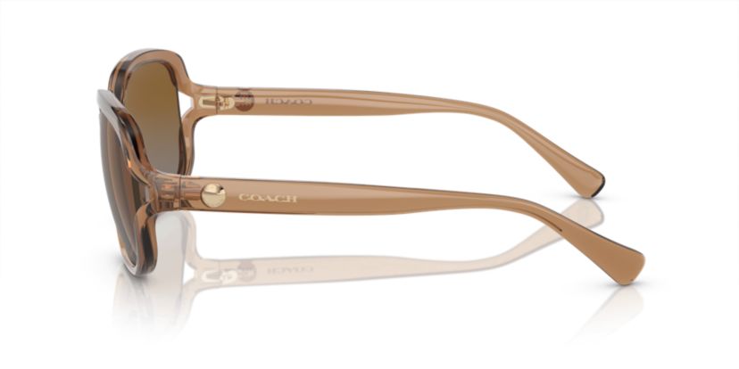 HC8169 L149 Polarized Sunglasses