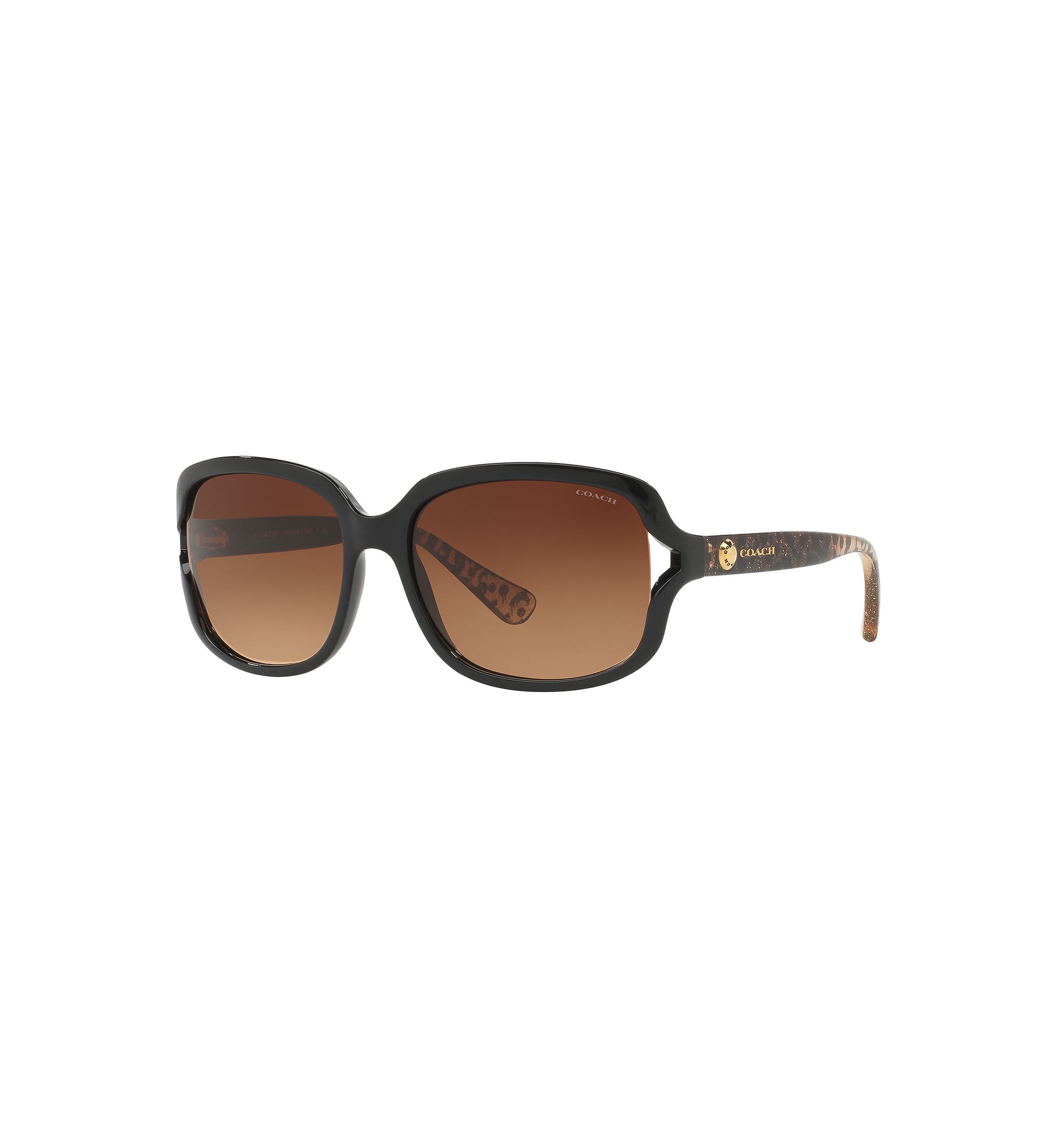 HC8169 L149 Sunglasses
