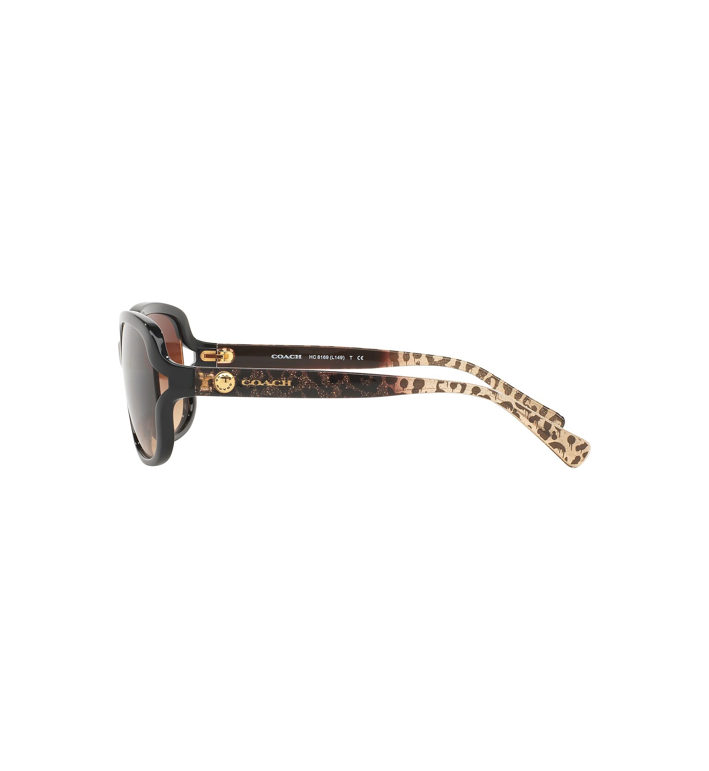 HC8169 L149 Sunglasses