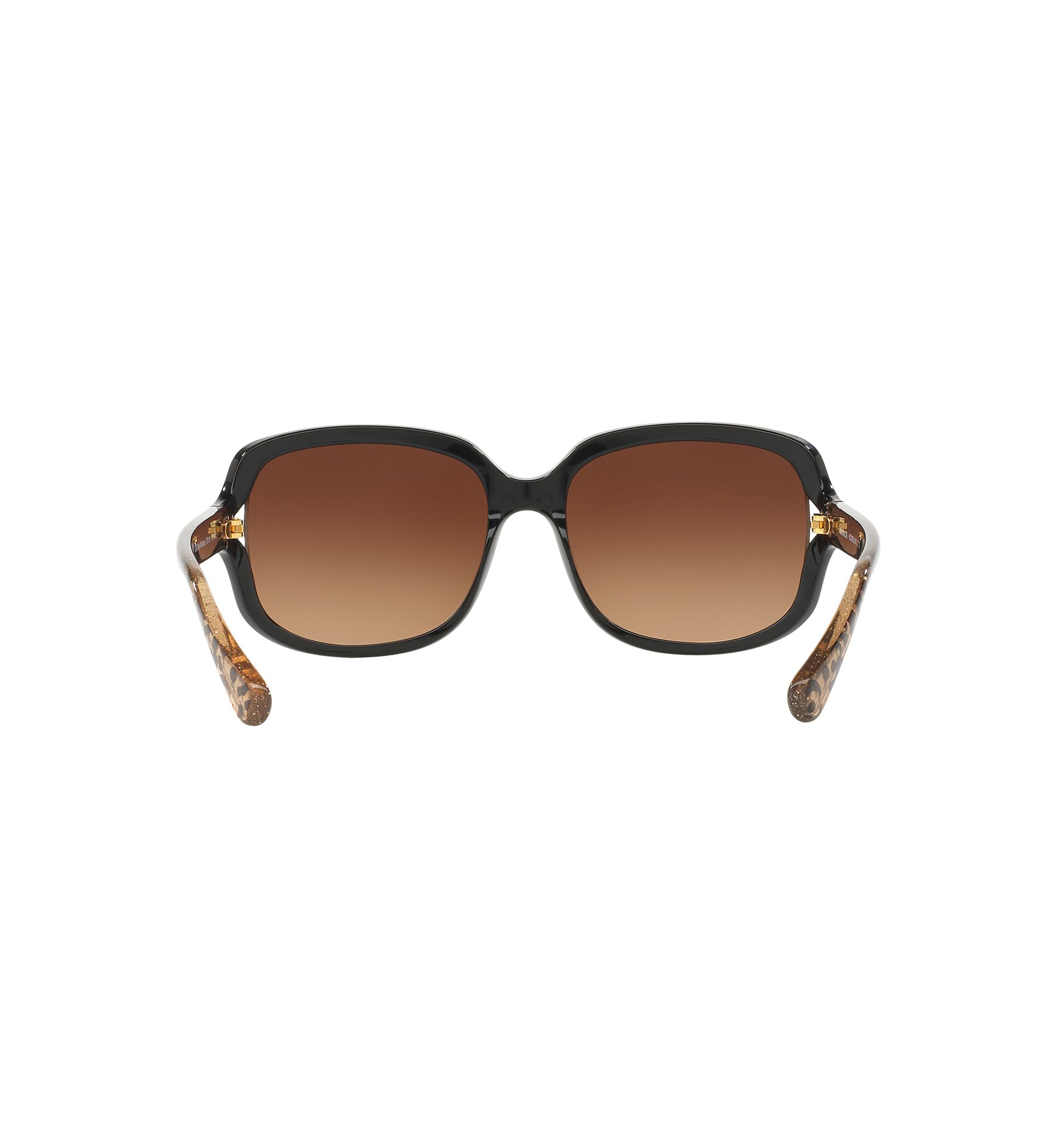 HC8169 L149 Sunglasses