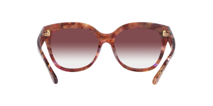 HC8264 L1083 Sunglasses