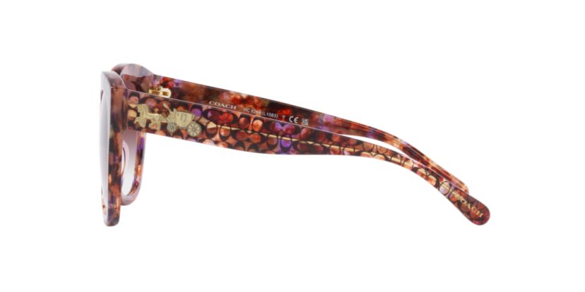 HC8264 L1083 Sunglasses