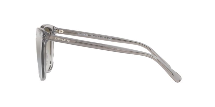 HC8271U L1101 Sunglasses