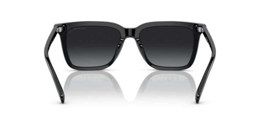 HC8385U CL910 Polarized Sunglasses
